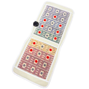 Rainbow Chakra PEMF Chair Mat Back Massager